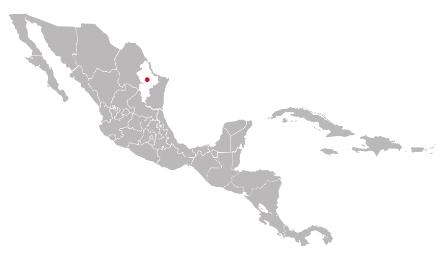 Nuevo León