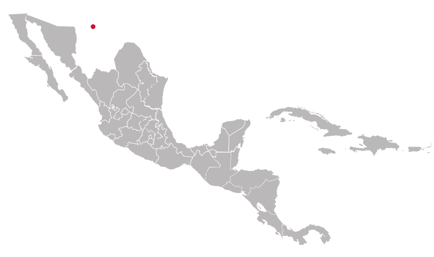 Chihuahua